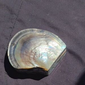 Iridescent Shell Decor Trinket Box